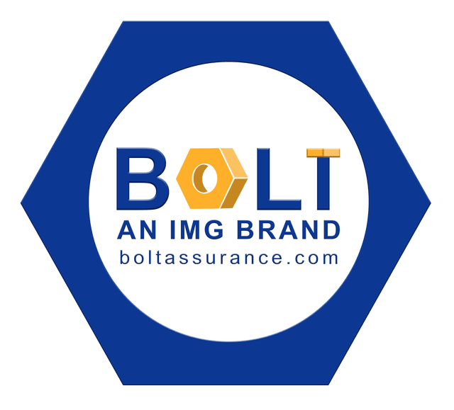 Bolt Assurance logo